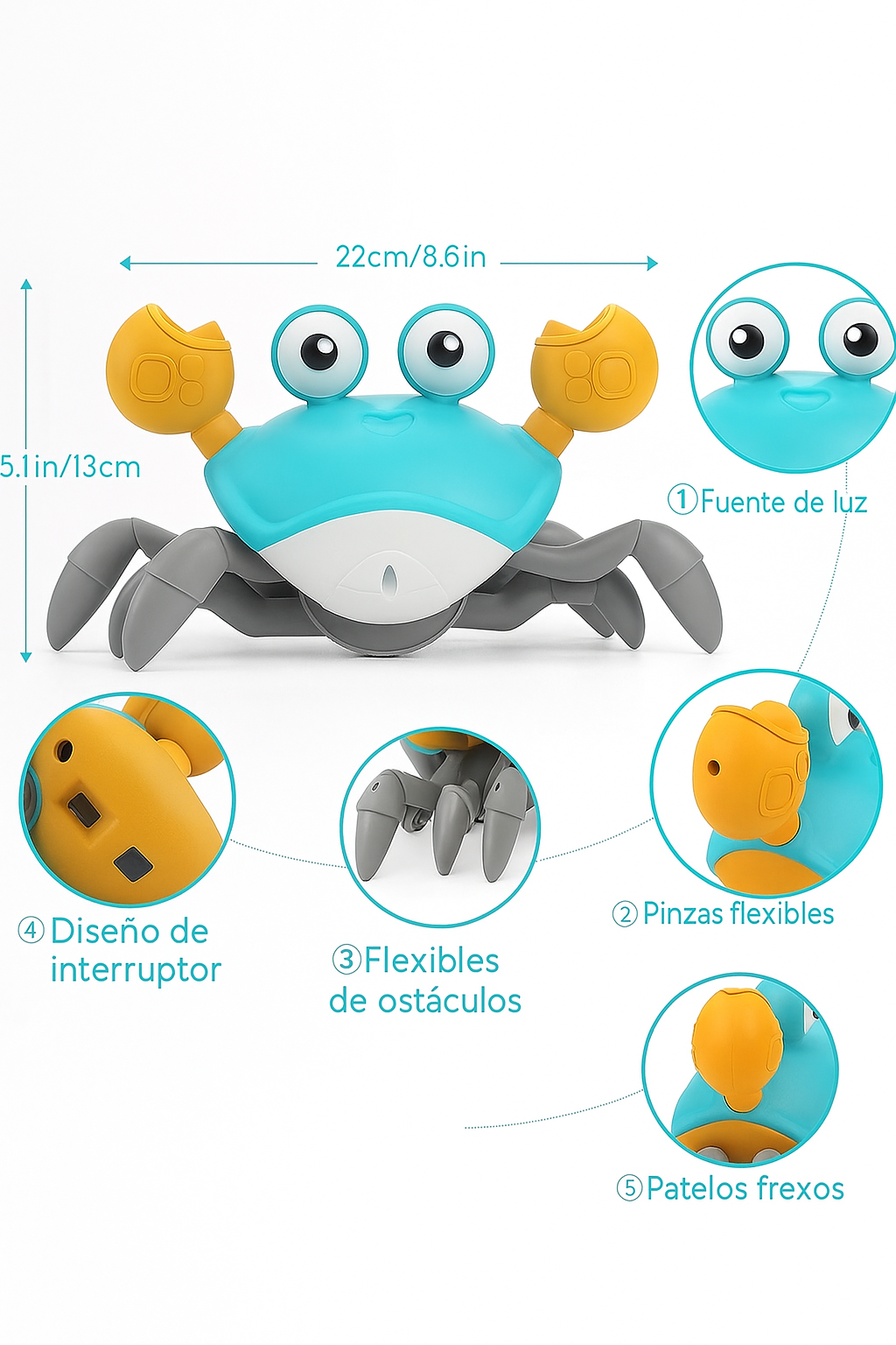 Cangrejo Interactivo Bebés