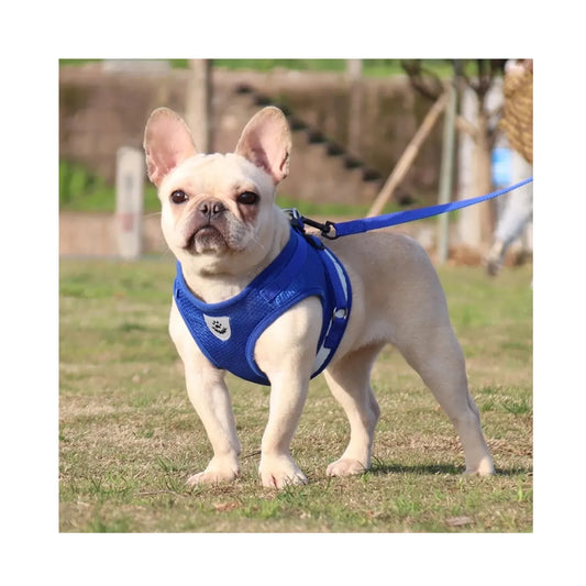 Correa De Pecho Mascotas Arnes Seguridad